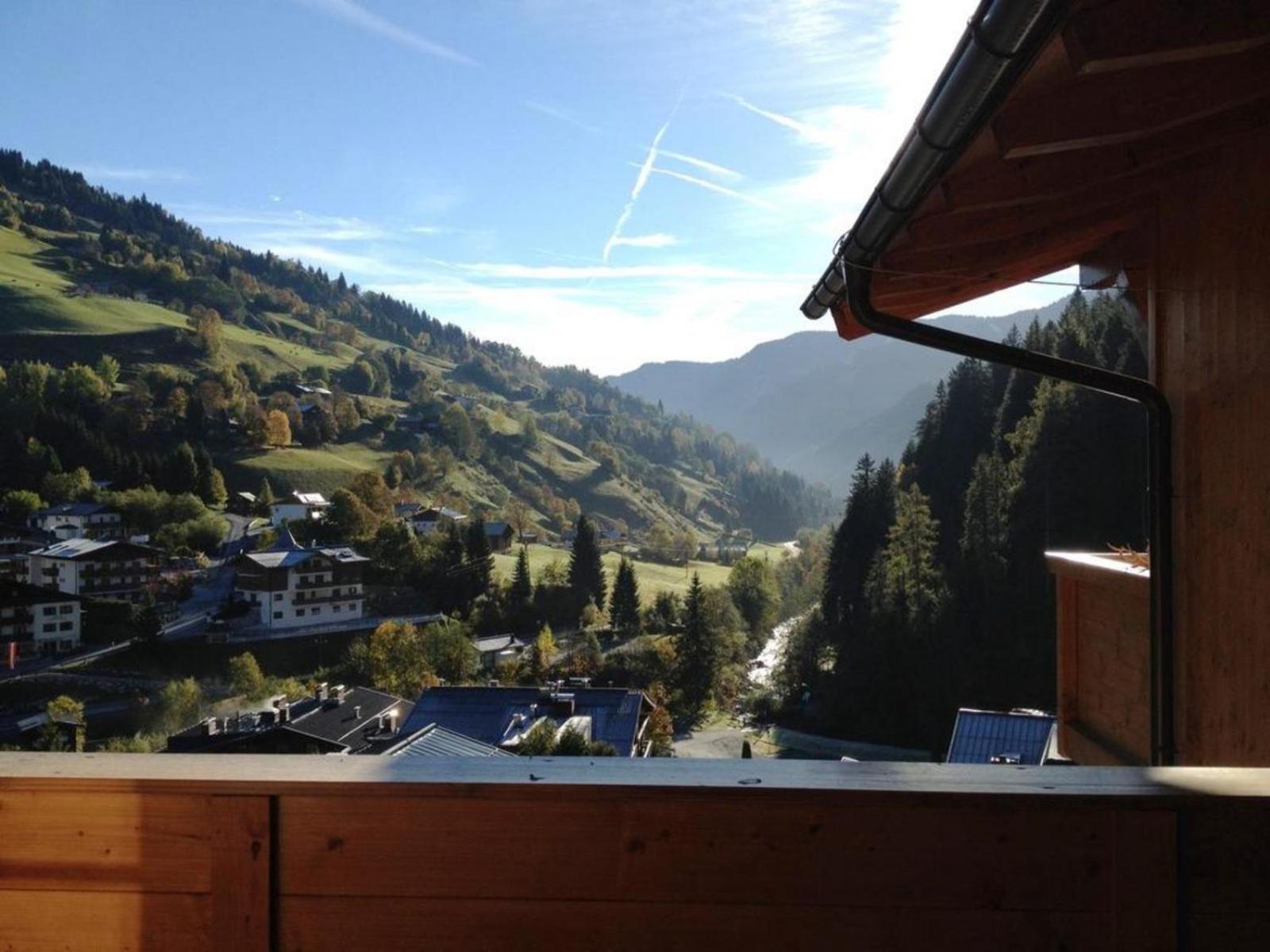 Alpen D4 Ferienhaus